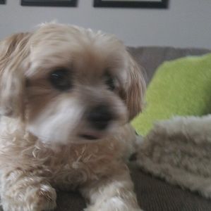 Meet your Posher, Debra